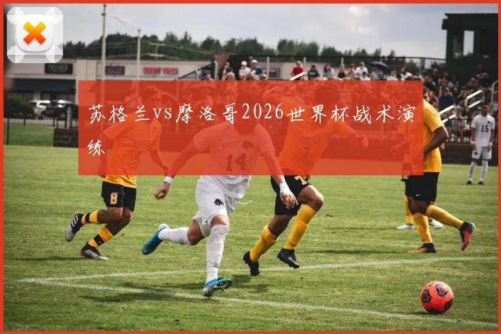 苏格兰vs摩洛哥2026世界杯战术演练