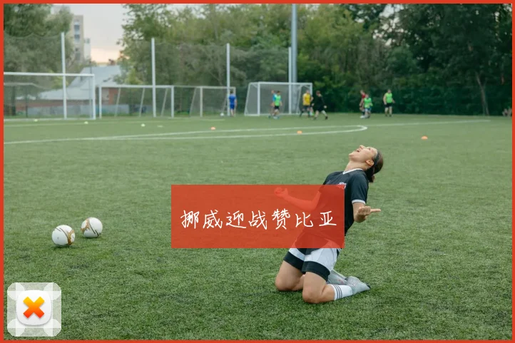 挪威迎战赞比亚