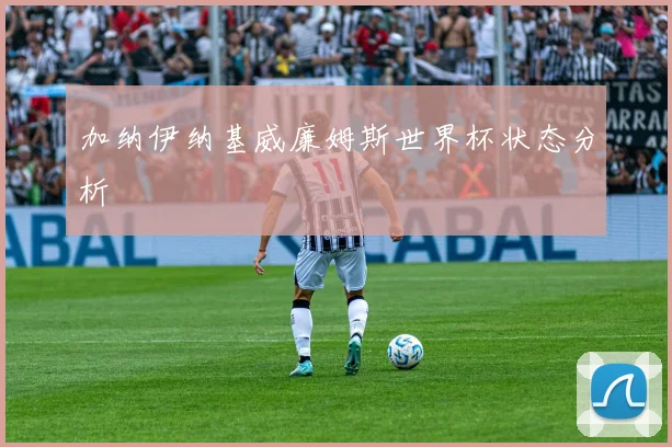 加纳伊纳基威廉姆斯世界杯状态分析