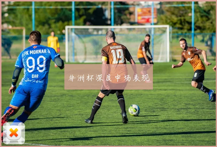 非洲杯深度中场表现