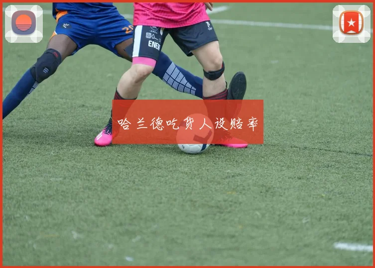哈兰德吃货人设赔率