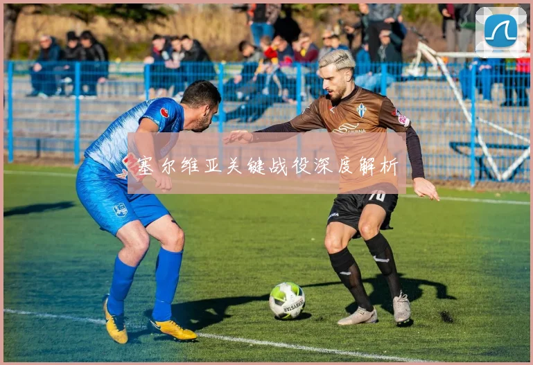 塞尔维亚关键战役深度解析