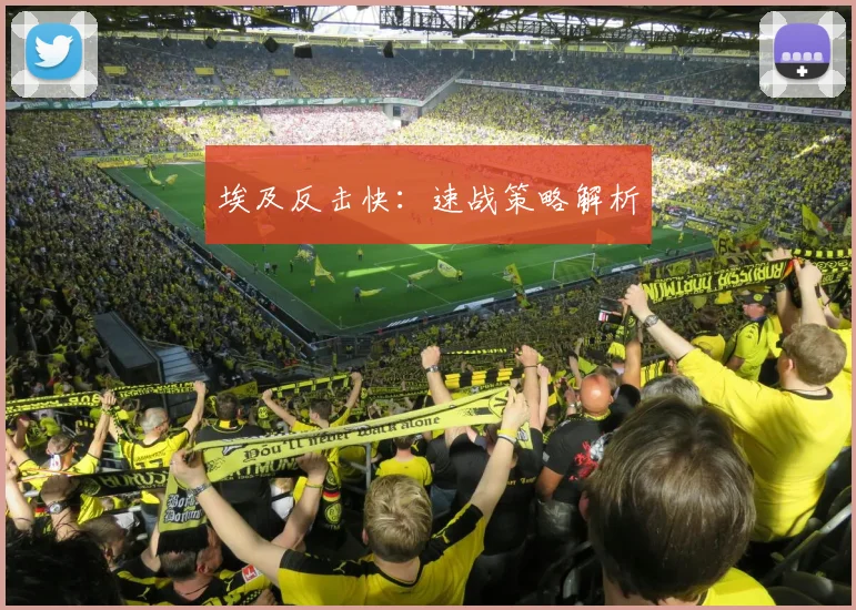 埃及反击快:速战策略解析