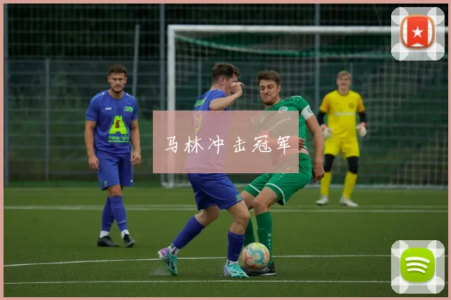 马林冲击冠军