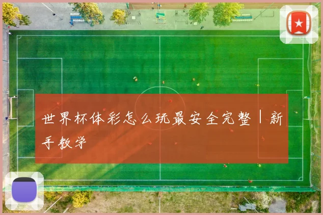 世界杯体彩怎么玩最安全完整｜新手教学