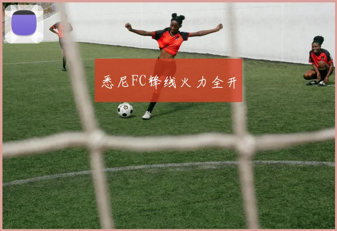 悉尼FC锋线火力全开