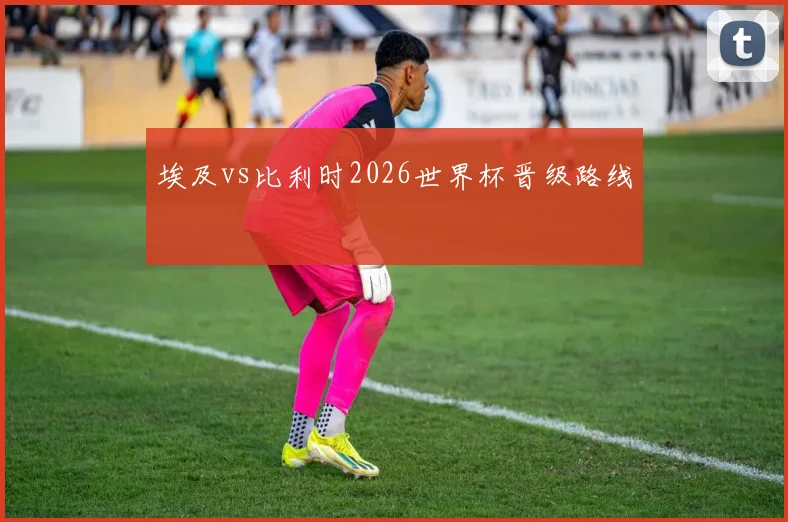埃及vs比利时2026世界杯晋级路线