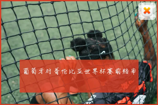 葡萄牙对哥伦比亚世界杯赛前赔率