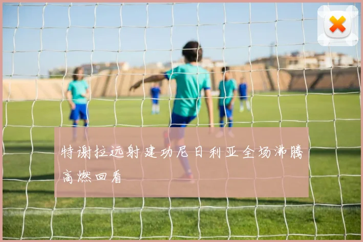 特谢拉远射建功尼日利亚全场沸腾高燃回看