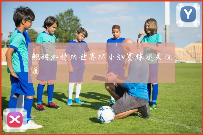 鲍姆加特纳世界杯小组赛球迷关注度