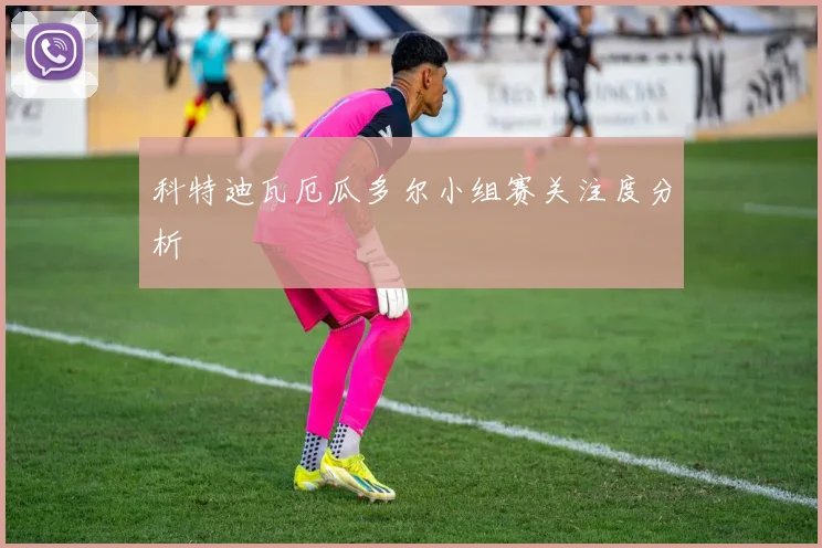 科特迪瓦厄瓜多尔小组赛关注度分析