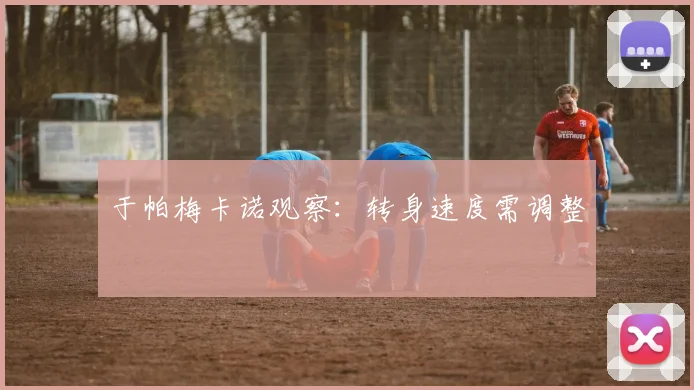 于帕梅卡诺观察：转身速度需调整