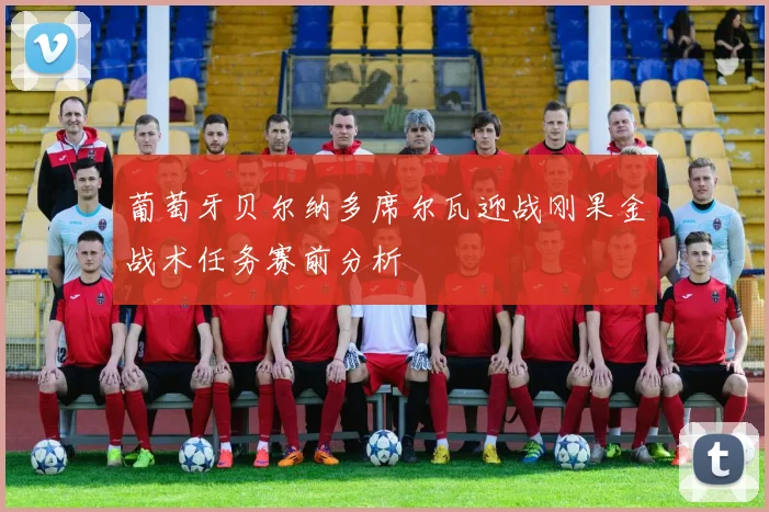 葡萄牙贝尔纳多席尔瓦迎战刚果金战术任务赛前分析