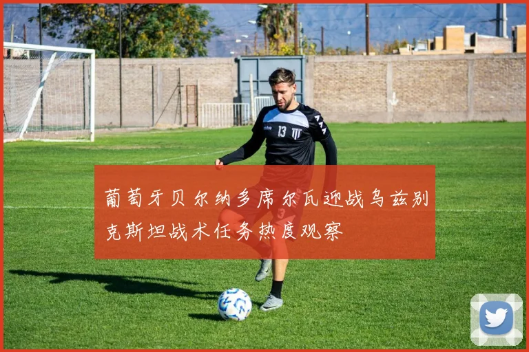 葡萄牙贝尔纳多席尔瓦迎战乌兹别克斯坦战术任务热度观察
