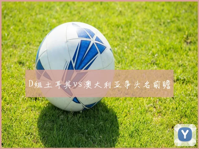 D组土耳其vs澳大利亚争头名前瞻
