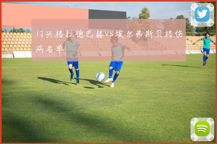 门兴格拉德巴赫vs埃尔弗斯贝格伤病名单